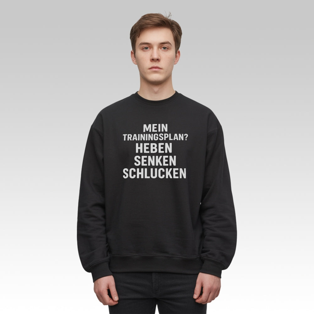 TRAININGSPLAN - Premium Sweatshirt