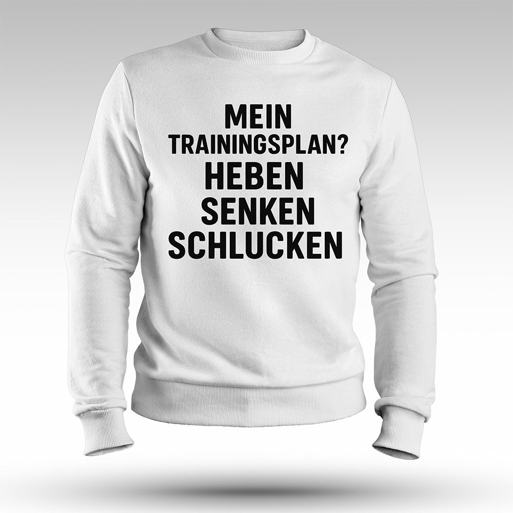 TRAININGSPLAN - Premium Sweatshirt