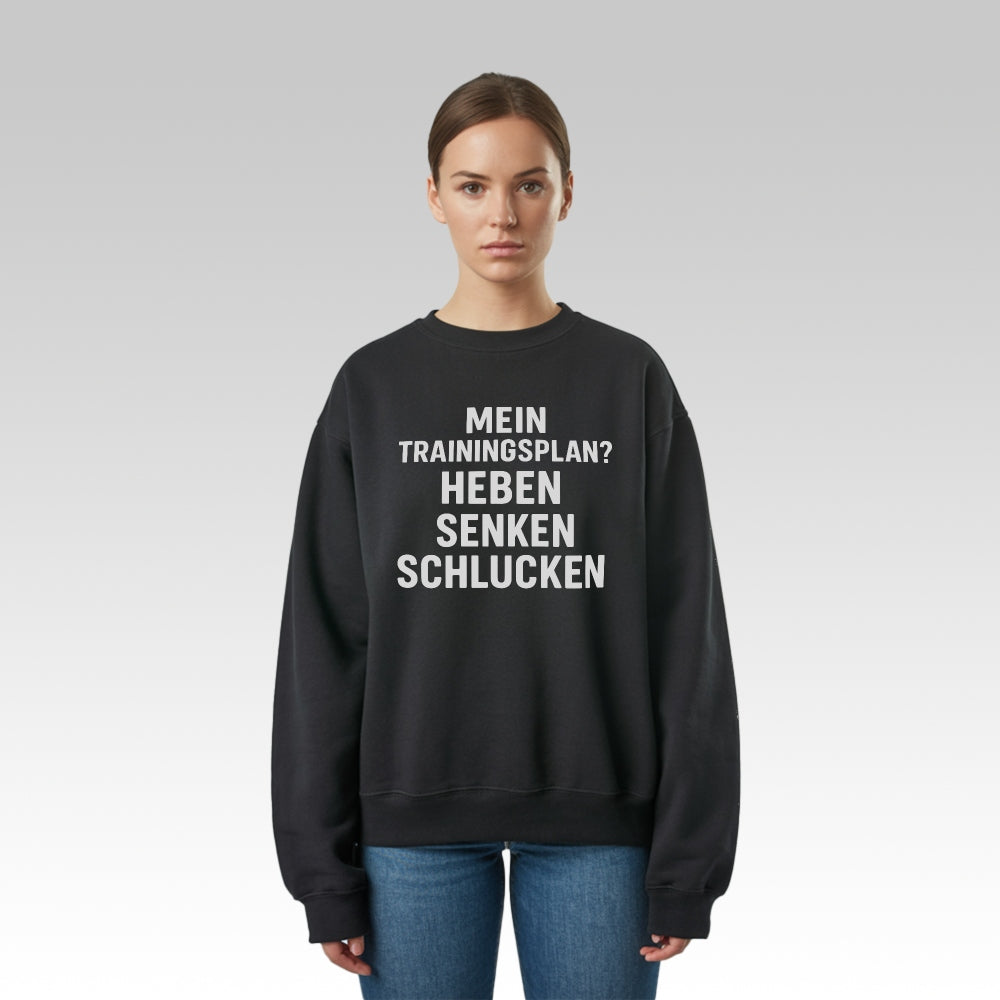 TRAININGSPLAN - Premium Sweatshirt